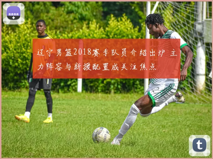 辽宁男篮2018赛季队员介绍出炉 主力阵容与新援配置成关注焦点