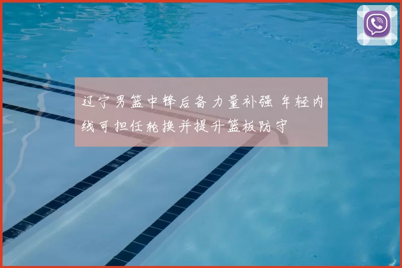 辽宁男篮中锋后备力量补强 年轻内线可担任轮换并提升篮板防守