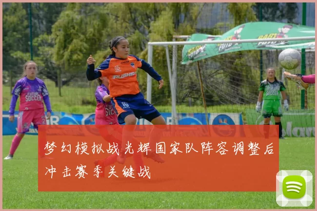 梦幻模拟战光辉国家队阵容调整后冲击赛季关键战