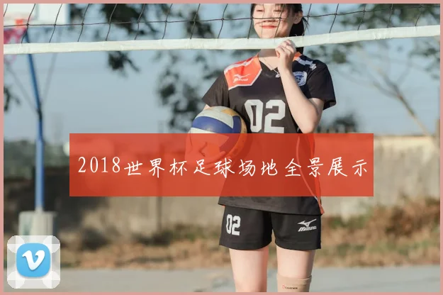 2018世界杯足球场地全景展示
